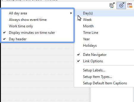 Day View Options