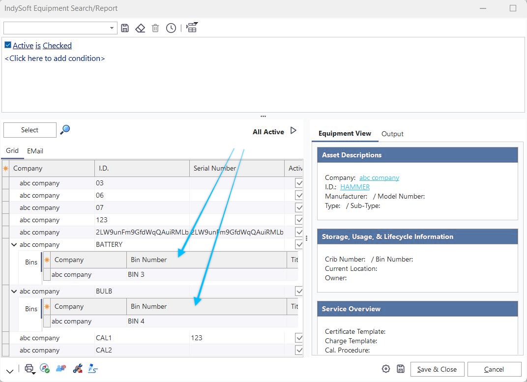 Example of Include Bin Details
