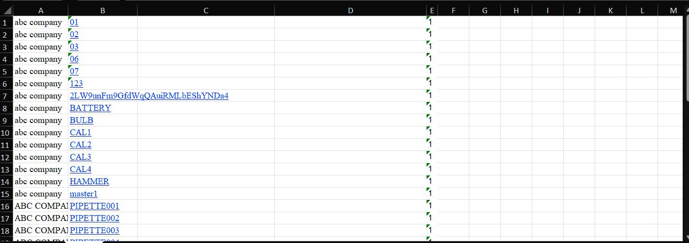 Example Excel Output - if option is ON
