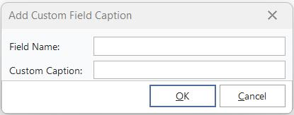 Add Custom Field Dialog