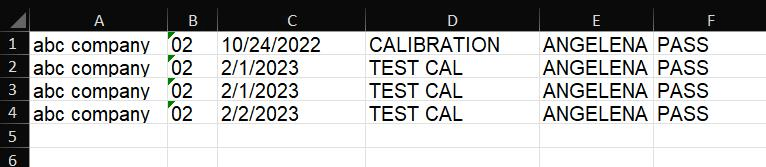 Example Excel Output - if the option is ON
