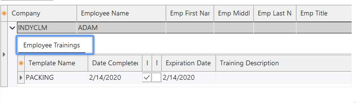 Example - Top Detail Tab(s) Position