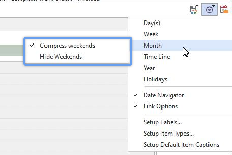 Month View Options