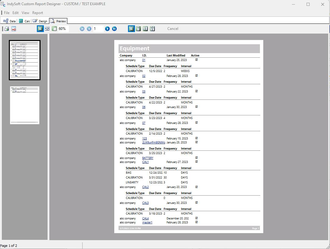Report Designer - Preview Tab