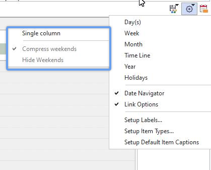Week View Options