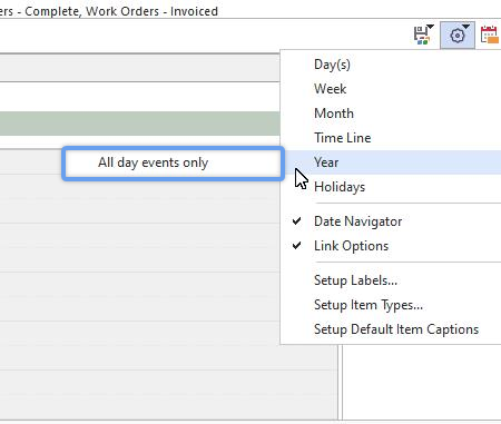 Year View Options